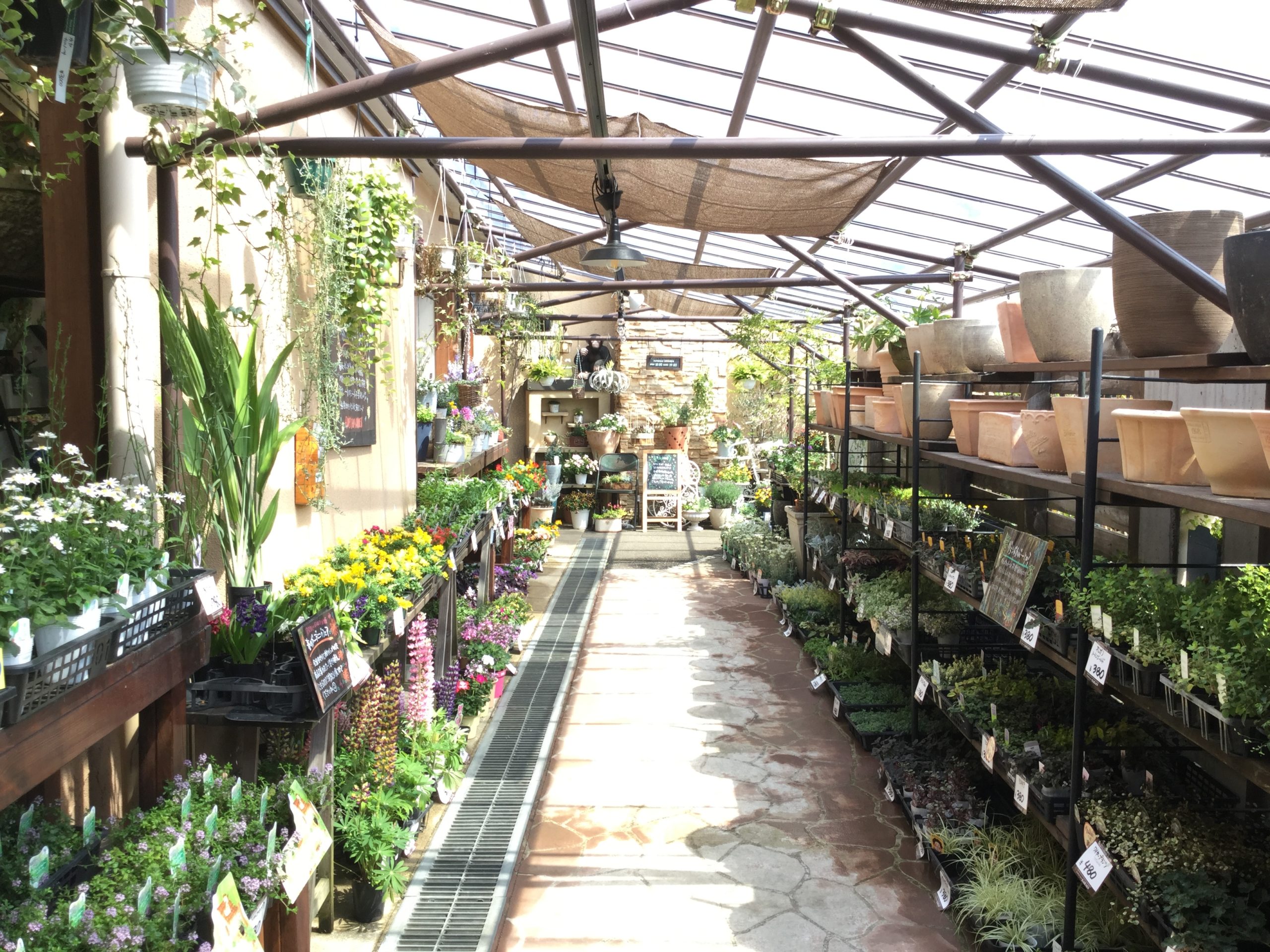 Gardening