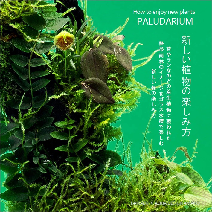 新しい植物の飾り方 パルダリウム ワークショップのご案内 福井のフラワーショップ 開花園