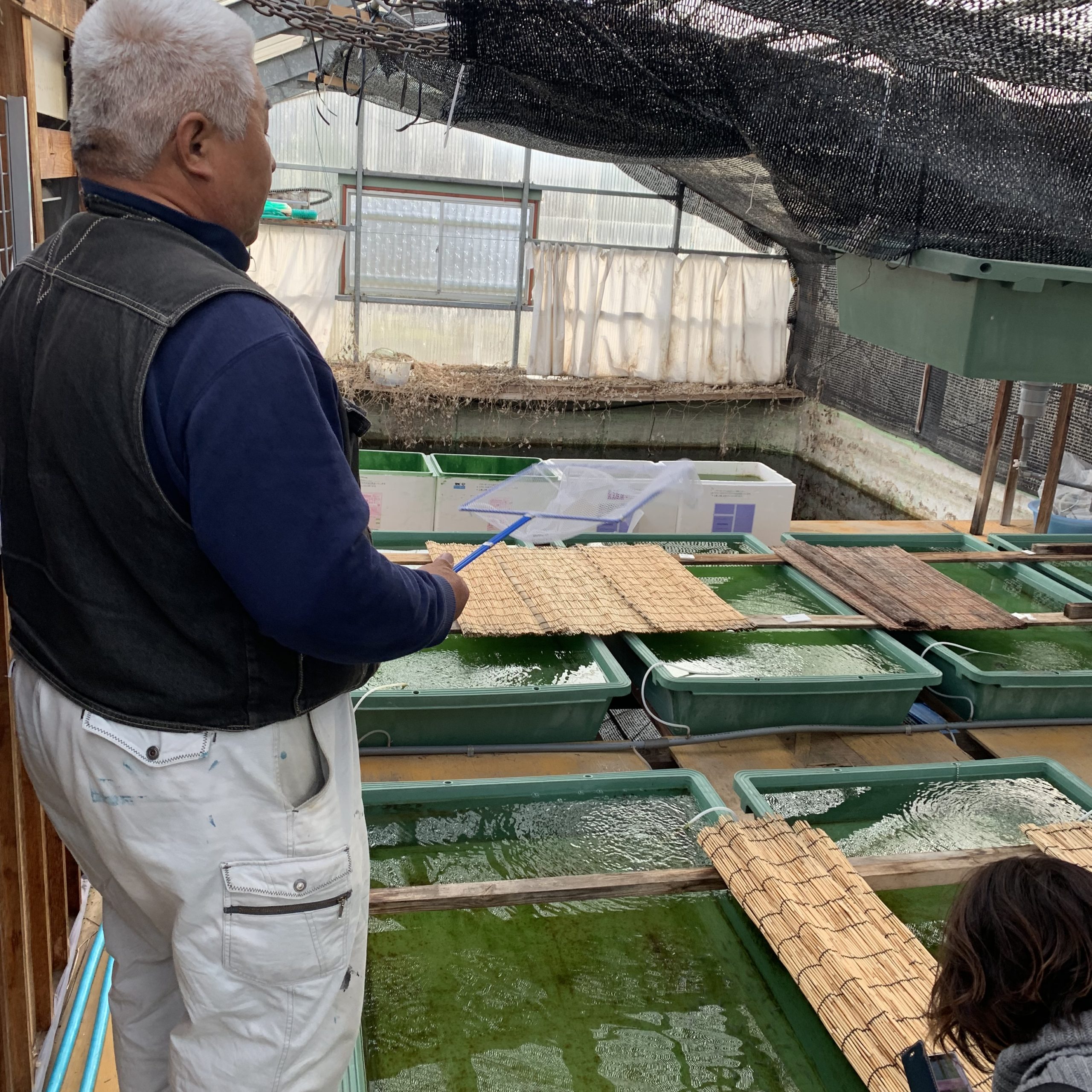 メダカのブリーダーさん訪問 福井のフラワーショップ 開花園