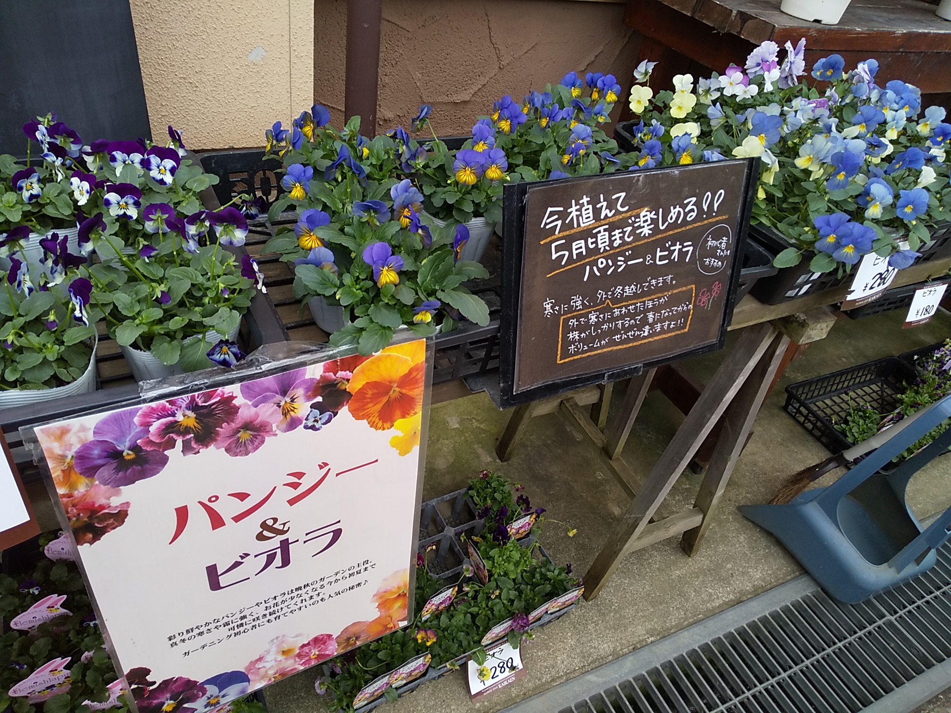 本店勤務2日目 福井のフラワーショップ 開花園