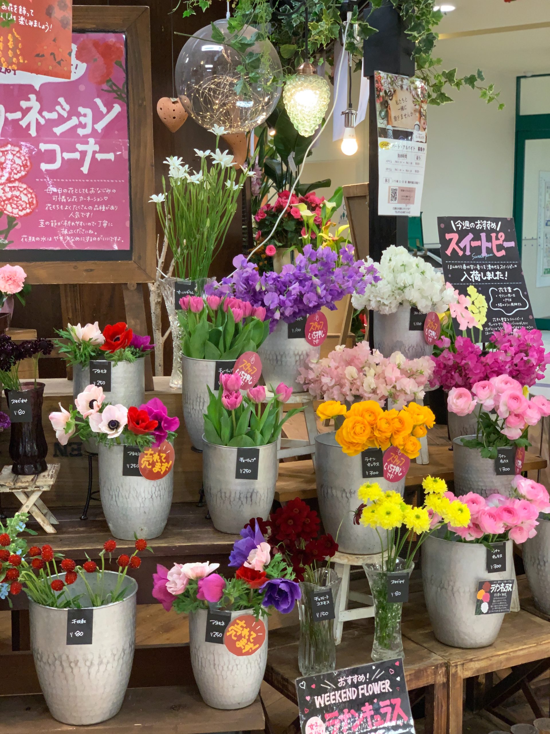 春の花 ワイルドフラワーフェア中 福井のフラワーショップ 開花園