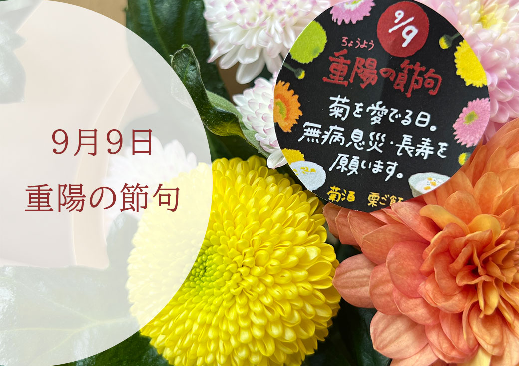 2020 重陽の節句: 重陽の節句 菊 を用いる なぜ – SJGZY